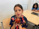 IMG_2226