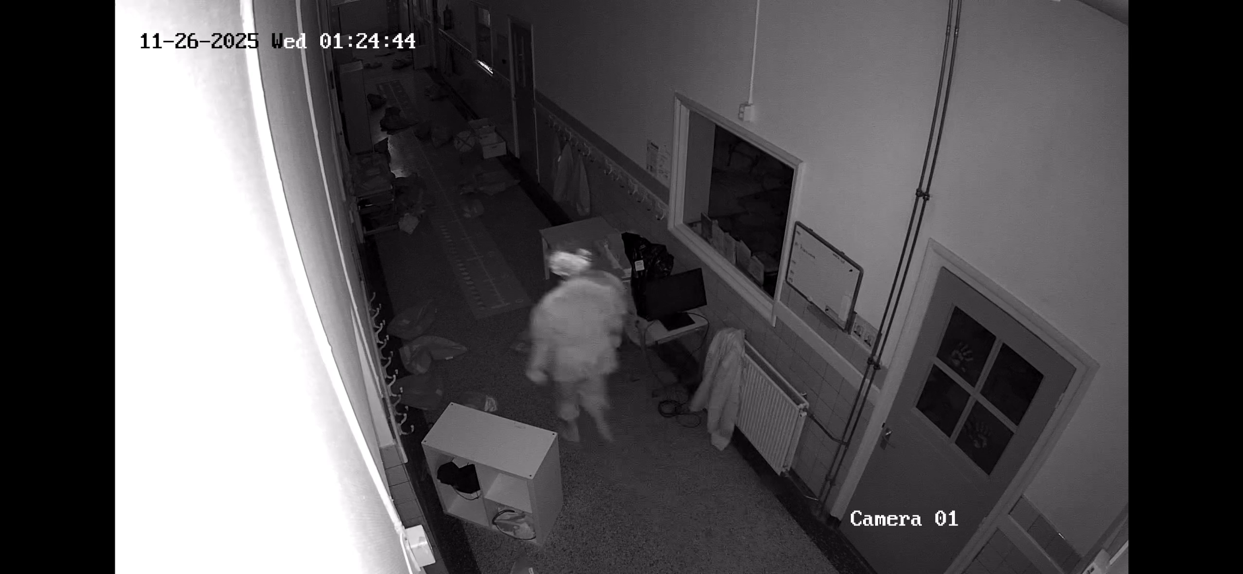 Rommelpiet op heterdaad betrapt!!!